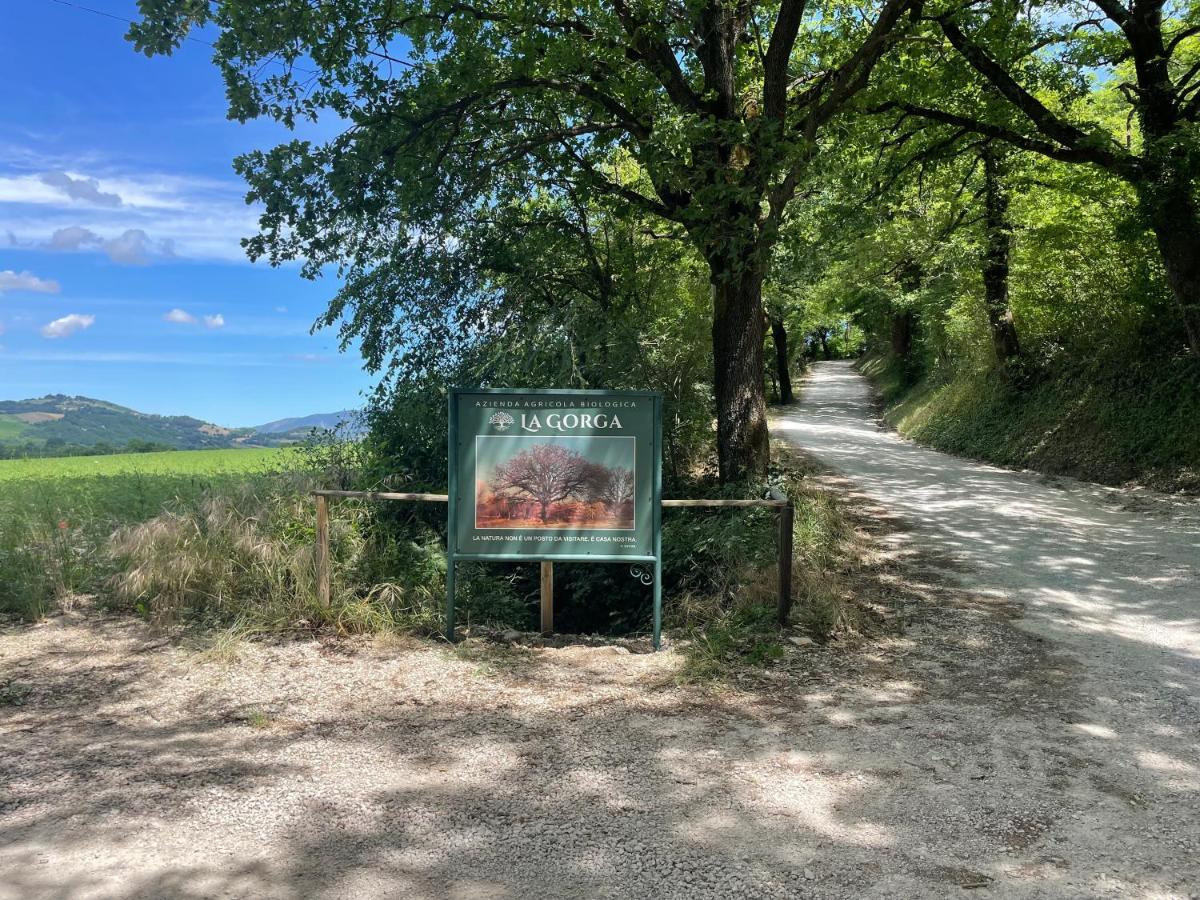 Casa La Gorga Villa Cagli Eksteriør bilde