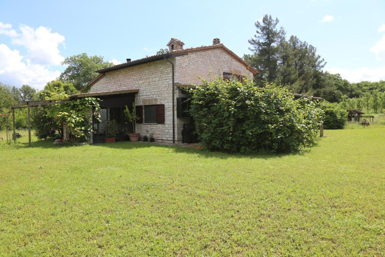 Casa La Gorga Villa Cagli Eksteriør bilde