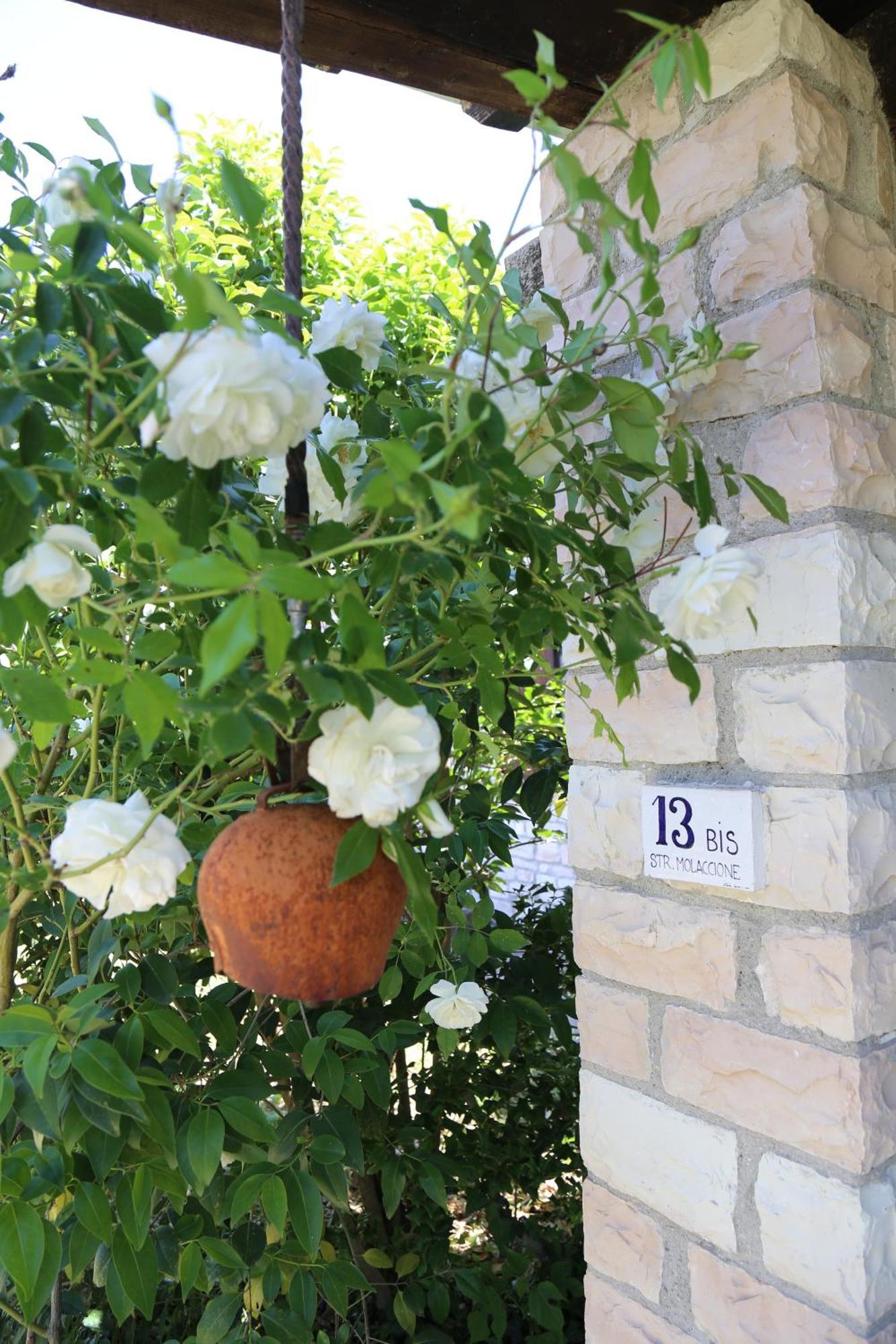 Casa La Gorga Villa Cagli Eksteriør bilde